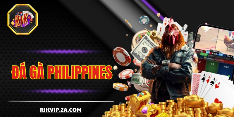Đá Gà Philippines - Thiên Đường Của Giới Chọi Kê Hợp Pháp
